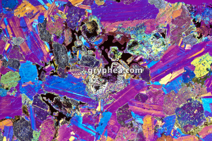 Gabbro LPA et lame quart d'onde x4 - gryphea.com